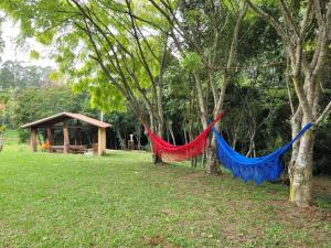 two hammocks hanging from trees in a park at Pousada Moinho de Pedra in Extrema