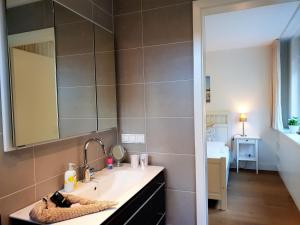 uma casa de banho com um lavatório e um espelho em fewo1846 - Residence Museumsberg - luxuriöse Wohnung mit 2 Schlafzimmern und 2 Bädern em Flensburg