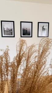 three framed pictures on a wall with a plant at AMAO-Grey I 86qm I KingSizeBetten I Netflix I Balkon I Parkplatz I EuropaPark in Rheinhausen