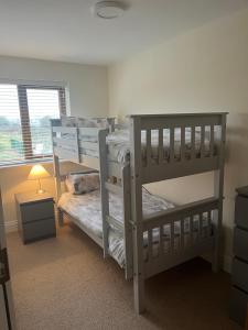 sypialnia z 2 łóżkami piętrowymi i lampką w obiekcie Ardmore Village Family Home w mieście Ardmore
