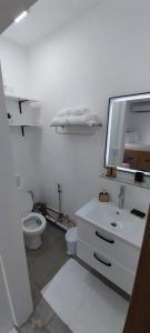 uma casa de banho com um WC, um lavatório e um espelho. em Cosy studio with all amenities em Grand Baie