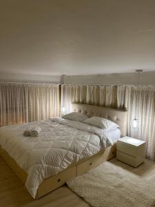 1 dormitorio con 1 cama grande y 1 alfombra en Town Square Apartment Tirana 4 en Tirana