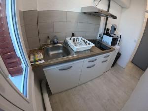 uma pequena cozinha com um lavatório e um micro-ondas em 40m² totalement rénovés belle vue dégagée (001) em Villeneuve-Saint-Georges