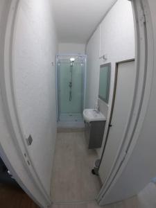 uma casa de banho com um chuveiro, um lavatório e um espelho. em 40m² totalement rénovés belle vue dégagée (001) em Villeneuve-Saint-Georges