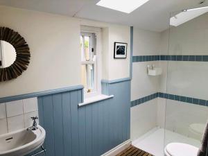 un bagno con lavandino, WC e specchio di St Edwards Cottage, Tintagel a Tintagel Altre 47 foto