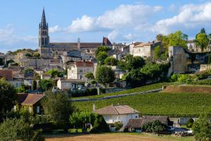 a town with vineyards and a church in the background at Maisonnette plein centre 2p in Libourne +3 photos