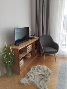 布達佩斯的住宿－Greenview Apartment，一间带电视和椅子的客厅