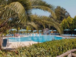 einen großen Pool mit Stühlen und einer Palme in der Unterkunft TuscanyChalets - luxe family chalet near sea with pool in Viareggio
