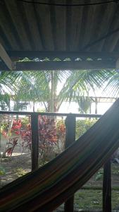 a view of a palm tree from a hammock at Los cocos Hostal in Bazán