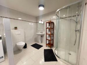 a bathroom with a shower and a toilet and a sink at Le gîte d'Emma in Sainte-Croix-en-Plaine
