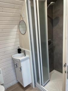 ein Bad mit einer Dusche, einem WC und einem Waschbecken in der Unterkunft Tiny IglooKarlsson in Belau