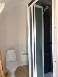 a bathroom with a toilet and a shower at Tiny Igloo Galadriel in Belau