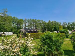 a garden with white flowers and a house in the background at Tiny Igloo Elrond in Belau