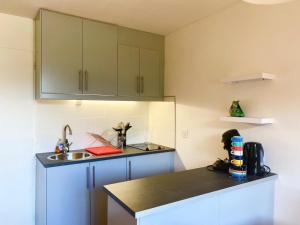 uma cozinha com armários azuis e um lavatório em Résidence Les Tennis - 2 Pièces pour 6 Personnes 654 em Villard-de-Lans