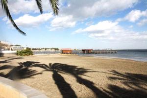 a shadow of a palm tree on the beach at Elvira Home San Gines AQ-104 in Santiago de la Ribera