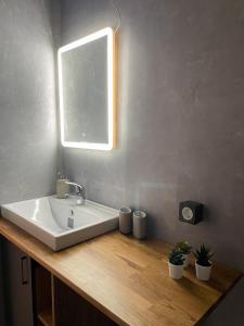 a bathroom with a white sink and a mirror at Nordic Loki in Belau