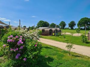 Gallery image of Tiny Igloo Joergensen in Belau
