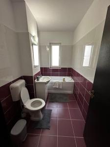 uma casa de banho com um WC, uma banheira e um lavatório. em Cozy 2 bed flat em Sînpetru