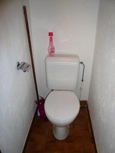 La salle de bains est pourvue de toilettes et d'une bouteille. dans l'établissement Résidence Princesse En Etraz Narcisse - 2 Pièces pour 7 Personnes 284, à Combloux