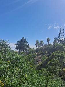 Imagen de la galería de La mejor vista de todas, en Algarrobo