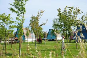 un gruppo di alberi in un campo con case di Marina Azzurra Resort a Lignano Sabbiadoro