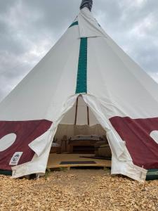 a tent is set up in a field at Tipi Wappo in Belau
