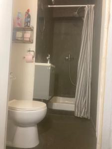 ein Bad mit einem WC und einer Dusche in der Unterkunft Chambre Quadruple Avec 4 Couchages - Proche Disneyland Paris in Mareuil-lès-Meaux