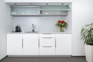 Una cocina o kitchenette en Hotel Atom Třebíč