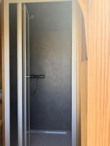 um chuveiro com uma porta de vidro na casa de banho em Igluhut Molendini em Püchau
