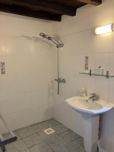 a bathroom with a sink and a shower at Puyleger in Saint-Privat-des-Prés