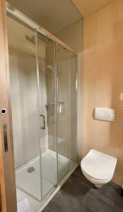 a bathroom with a shower and a toilet at Haus Frau Elster in Falkenberg
