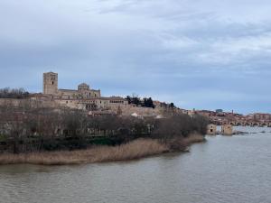 - une vue sur la ville depuis une rivière avec un bâtiment dans l'établissement Hotel Puente de Piedra, à Zamora