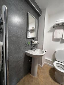 uma casa de banho com um lavatório, um espelho e um WC. em THE LORD NELSON HOTEL em Pembrokeshire