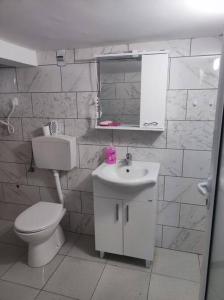 Koupelna v ubytování Apartment Krasici