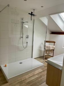 a bathroom with a shower with a glass door at Chiemsee Living in Chieming