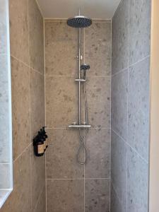 a shower with a shower head in a bathroom at Japandi Wellness met hottub & sauna in Ewijk