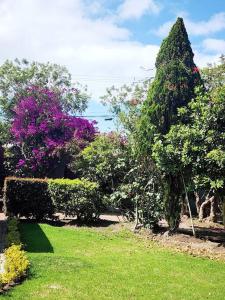 un jardin avec des buissons, des arbres et des fleurs dans l'établissement Spain style country house in Cajica, à Cajicá