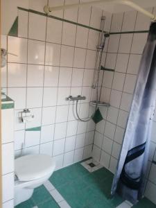 a bathroom with a toilet and a shower at "Kleine Hedwig" in Putbus +18 photos