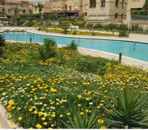a garden with yellow flowers in front of a pool at Apartment in a villa with pool and garden in Cairo