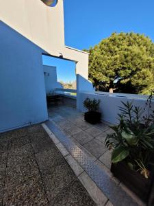 un patio con una parete blu e alcune piante di Le Birdy - maeva Home - Appartement 2 pièces 4 personnes - Prestige 614 a La Grande-Motte