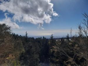 uma vista para uma floresta com um céu azul e nuvens em Etna Country Home em Nicolosi