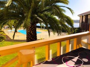 balkon z palmą i basenem w obiekcie Résidence Le Boucanier - 3 Pièces pour 6 Personnes 954 w mieście Vieux-Boucau-les-Bains
