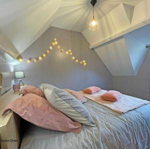 1 dormitorio con 1 cama grande con almohadas rosas en Le p’tit Suisse Normand en Putanges