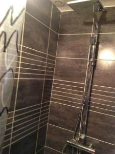 ein Bad mit einer Dusche und braunen Fliesen in der Unterkunft Appartement d'une chambre avec wifi a Bourg le Comte in Bourg-le-Comte