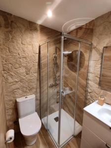 uma casa de banho com um chuveiro, um WC e um lavatório. em Galician Holiday Home em Villariño