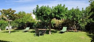 un groupe de chaises et une table sous un arbre dans l'établissement Appartement LOFT 40 M2, à Saint-Cyr-sur-Mer
