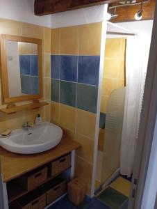 een badkamer met een wastafel en een douche bij Maison avec piscine et patio in Cavaillon