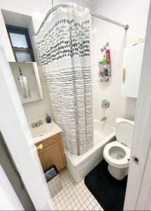 a bathroom with a toilet and a shower curtain at Charming One-Bedroom Apartment in South Chelsea in New York
