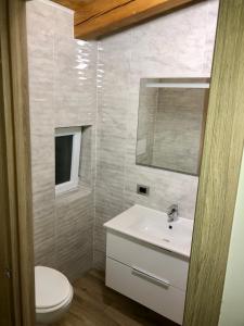 a bathroom with a sink and a toilet and a mirror at Pensiunea CUZA in Borşa