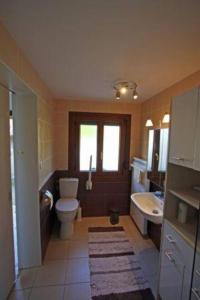 La salle de bains est pourvue de toilettes et d'un lavabo. dans l'établissement Propriete d'une chambre avec wifi a Fraize, à Fraize